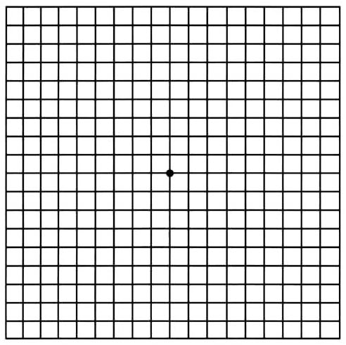 amsler grid chart types
